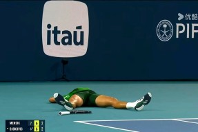  费德勒97cv315克怎么样 手机游戏下载平台